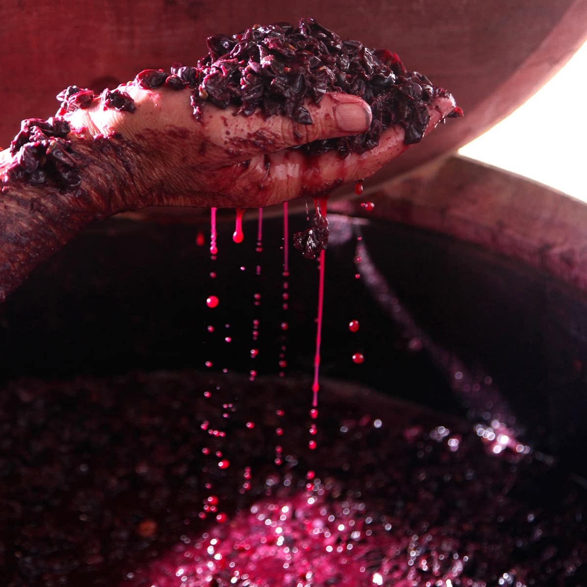 A Brief Introduction to Natural Wines