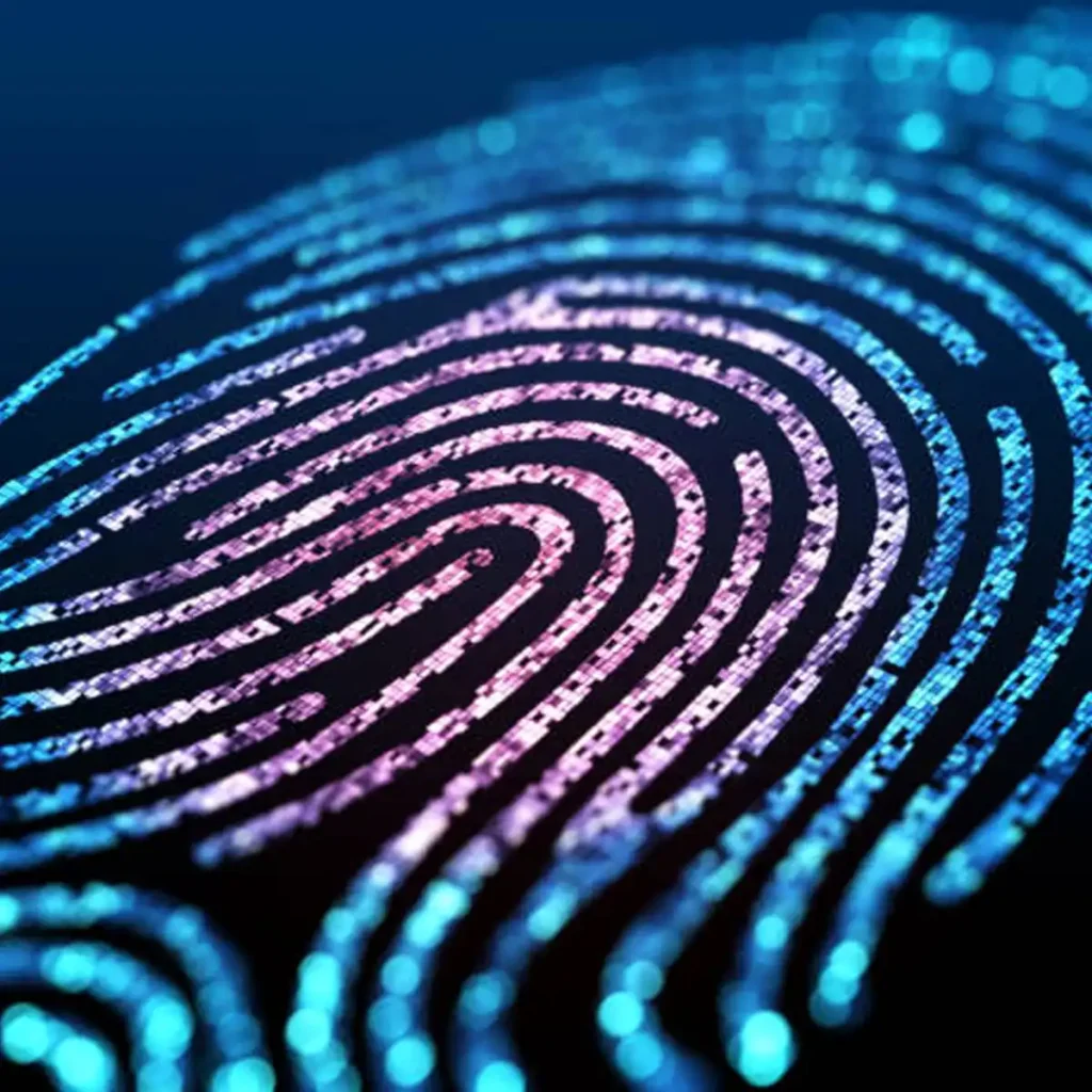 Digital Identity