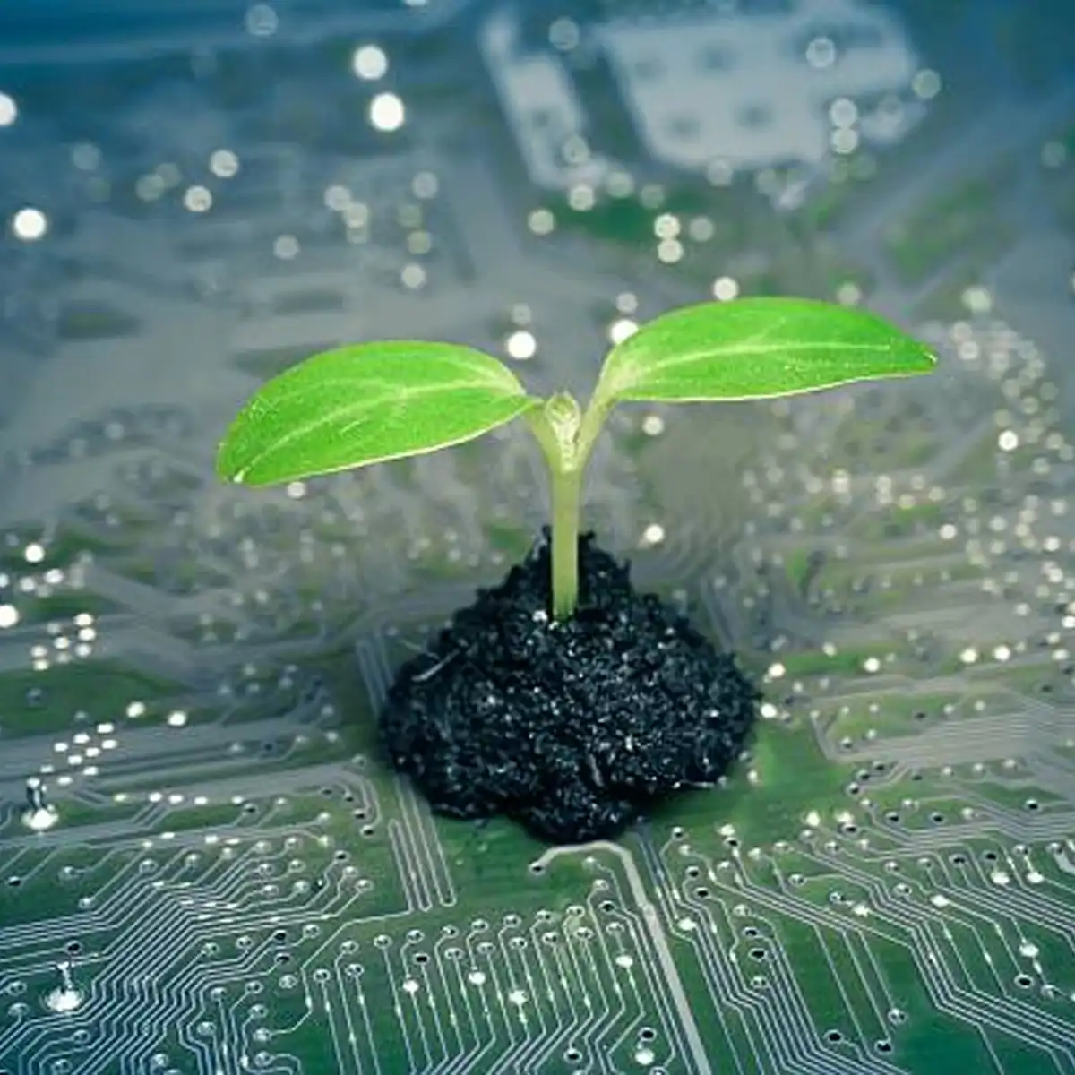 CMA Green Claims Code Drives FTSE 100 Greenwashing